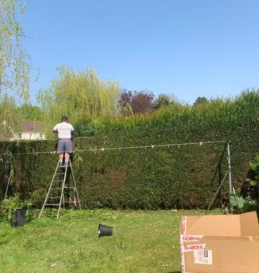 Taille de haie Baum Paysage 64