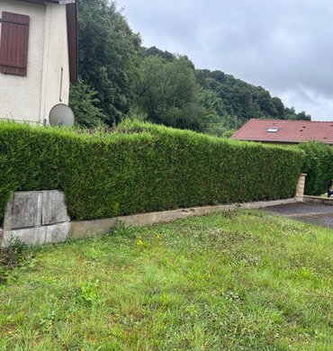 Taille de haie Baum Paysage 75